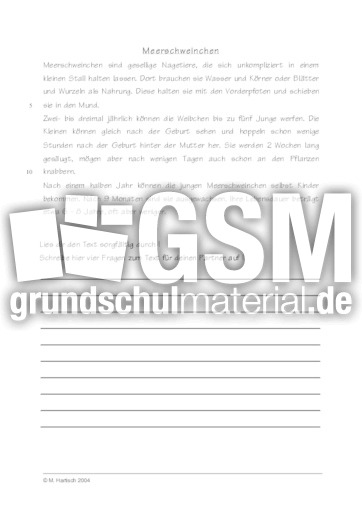 Meerschweinchen.pdf